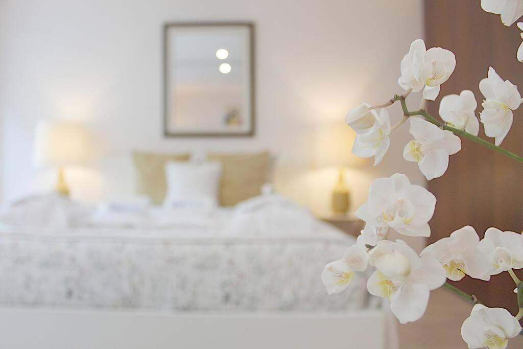 Oliveiras Charming Apartment Downtown Porto Bagian luar foto